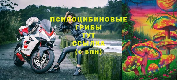 PSILOCYBIN Балабаново